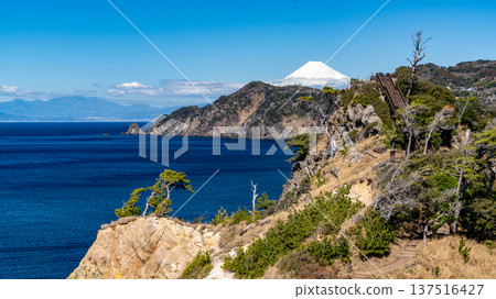Suruga Bay and Mt. Fuji as seen from Koganesaki 137516427