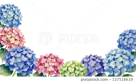 Hand-drawn hydrangea watercolor illustration frame 137516619