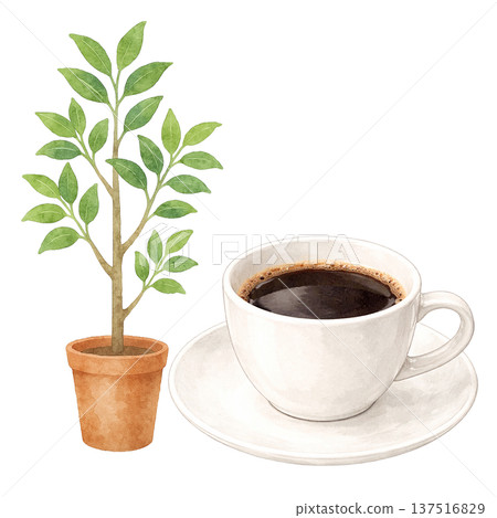 室內植物與咖啡杯 水彩咖啡館時光自然插畫 室內植物與咖啡杯 水彩咖啡館時光自然插畫 137516829