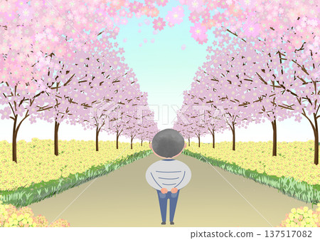 一幅插圖,描繪了一位男子凝視著一條兩旁盛開著櫻花和油菜花的道路。 一幅插圖,描繪了一位男子凝視著一條兩旁盛開著櫻花和油菜花的道路。 137517082