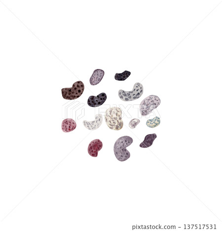 Poppy seeds textured scattered grains, watercolor food ingredient illustration isolated on white. Natural baking topping for bakery packaging, recipe cards, organic food branding, pattern design Poppy seeds textured scattered grains, watercolor food ingredient illustration isolated on white. Natural baking topping for bakery packaging, recipe cards, organic food branding, pattern design 137517531