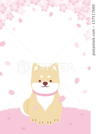 Background illustration of a Shiba Inu sitting in a field with falling cherry blossom petals Background illustration of a Shiba Inu sitting in a field with falling cherry blossom petals 137517660