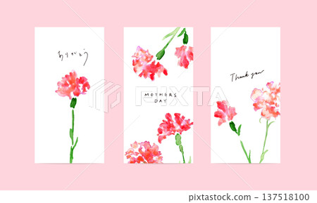 水彩畫。水彩康乃馨矢量插圖。康乃馨母親節插圖明信片 水彩畫。水彩康乃馨矢量插圖。康乃馨母親節插圖明信片 137518100
