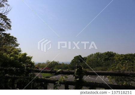 Blue sky and tree Blue sky and tree 137518251