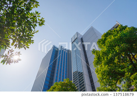 辦公區域的風景與綠色的 辦公區域的風景與綠色的 137518679