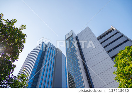 看摩天大樓的辦公室鎮的風景 137518680