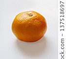 橘子 137518697