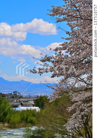 從八瀨遺址眺望赤城山，櫻花盛開的季節，群馬縣水上町 137518757