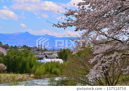 從八瀨遺址眺望赤城山,櫻花盛開的季節,群馬縣水上町 從八瀨遺址眺望赤城山,櫻花盛開的季節,群馬縣水上町 137518758