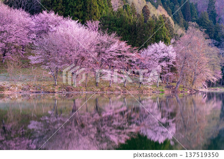 Yoh Yamazakura of Lake Nakanishi 137519350