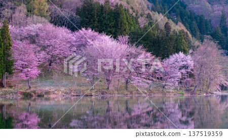 Yoh Yamazakura of Lake Nakanishi 137519359