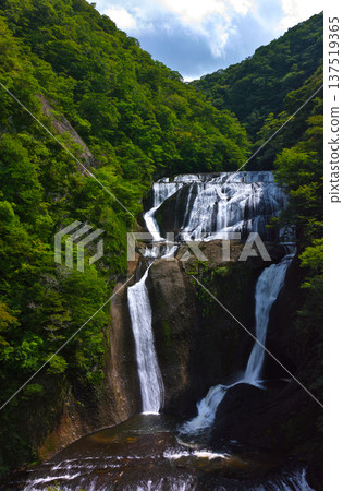 Fukuroda Falls surrounded by late summer greenery Fukuroda Falls surrounded by late summer greenery 137519365