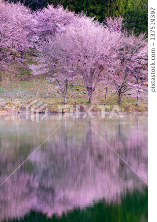 Yoh Yamazakura of Lake Nakanishi 137519397