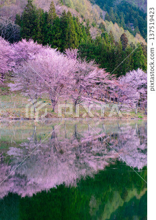 Yoh Yamazakura of Lake Nakanishi 137519423