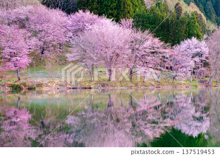 Yoh Yamazakura of Lake Nakanishi 137519453