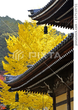 A wind chime on the roof and a towering large ginkgo tree with yellow leaves A wind chime on the roof and a towering large ginkgo tree with yellow leaves 137519731