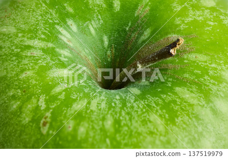 Extreme close-up showing the top cavity, stem, and porous skin texture of a fresh green apple 137519979