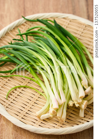 韭菜和香料蔬菜盛於竹製濾網中 韭菜和香料蔬菜盛於竹製濾網中 137520055