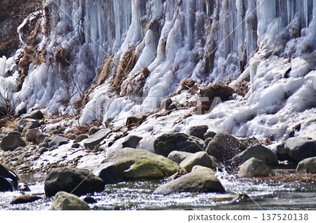 Shirakawa icicles along the river 137520138
