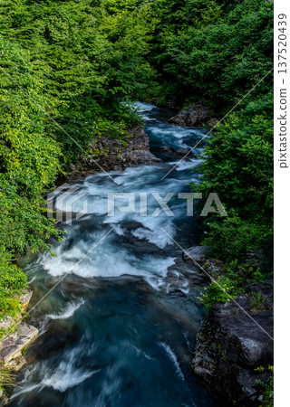 A clear stream flowing violently through the rocks c A clear stream flowing violently through the rocks c 137520439