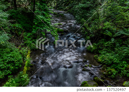 一條清澈的溪流湍急地流經岩石區 137520497