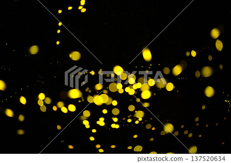 Aichi Prefecture, Nagoya City, Aioiyama Green Space, Fireflies dancing wildly - a summer image 137520634