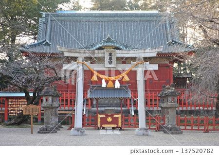 2022年3月12日,瀨良田東照宮的庭院靜候著春天的到來。傍晚時分,一片寧靜祥和。 2022年3月12日,瀨良田東照宮的庭院靜候著春天的到來。傍晚時分,一片寧靜祥和。 137520782