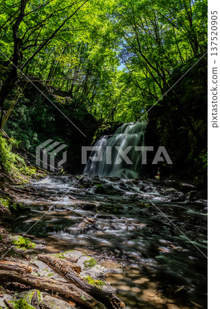 淺間瀑布,一條瀑布流入綠意盎然的山谷。 淺間瀑布,一條瀑布流入綠意盎然的山谷。 137520905