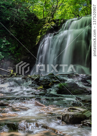 Asama Falls, a waterfall flowing into a valley of fresh greenery. Asama Falls, a waterfall flowing into a valley of fresh greenery. 137520907
