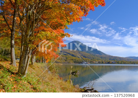 Autumn leaves at Lake Megami and Mt. Tateshina Autumn leaves at Lake Megami and Mt. Tateshina 137520968