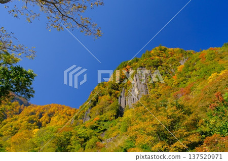 Nunoiwa Rock and autumn leaves in Akiyamago 137520971