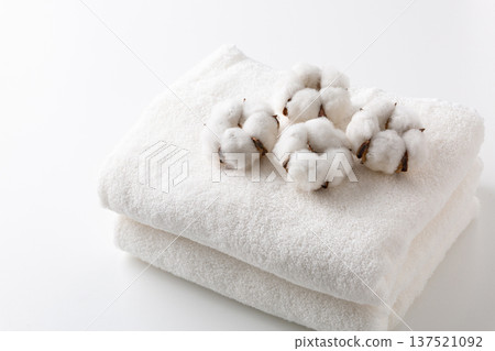 Cotton cotton flower 137521092