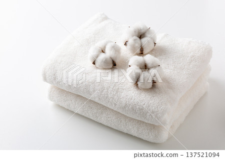 Cotton cotton flower Cotton cotton flower 137521094