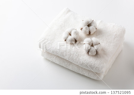 Cotton cotton flower Cotton cotton flower 137521095