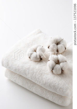 Cotton cotton flower Cotton cotton flower 137521096