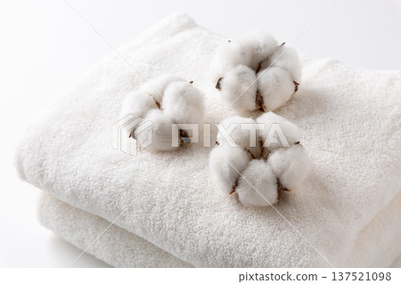 Cotton cotton flower 137521098
