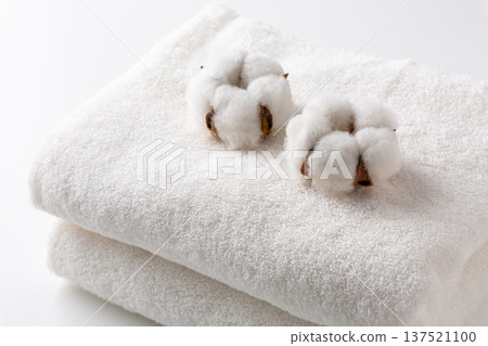 Cotton cotton flower Cotton cotton flower 137521100