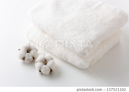 Cotton cotton flower Cotton cotton flower 137521102