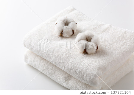 Cotton cotton flower Cotton cotton flower 137521104
