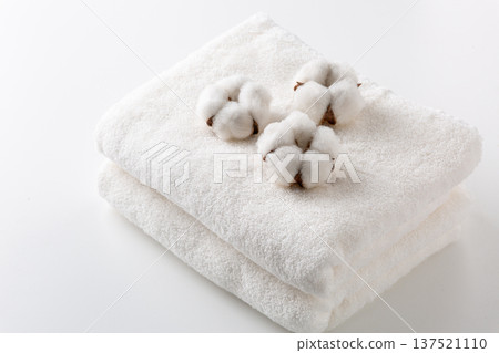 棉花棉花花 137521110