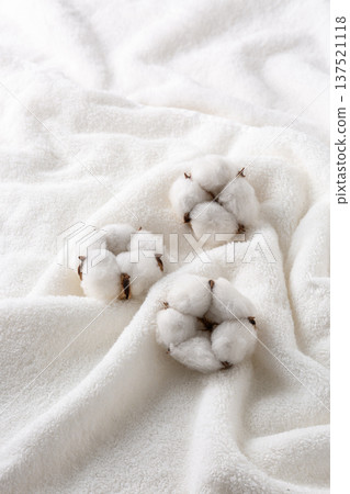 Cotton cotton flower 137521118