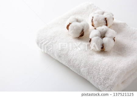 Cotton cotton flower Cotton cotton flower 137521125