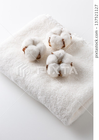 Cotton cotton flower 137521127