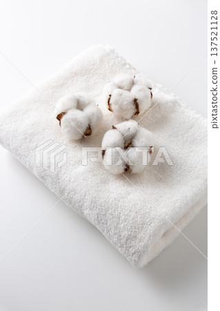 Cotton cotton flower Cotton cotton flower 137521128