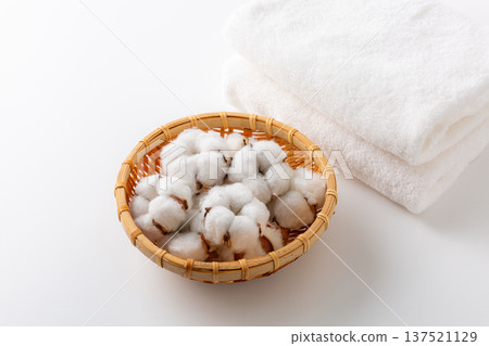 棉花棉花花 137521129