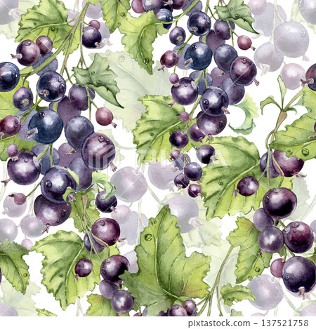 Watercolor black currant branches seamless pattern isolated white. Hand painted botanical repeat texture with natural fruit and green leaves. Design background for summer textile or packaging. Watercolor black currant branches seamless pattern isolated white. Hand painted botanical repeat texture with natural fruit and green leaves. Design background for summer textile or packaging. 137521758
