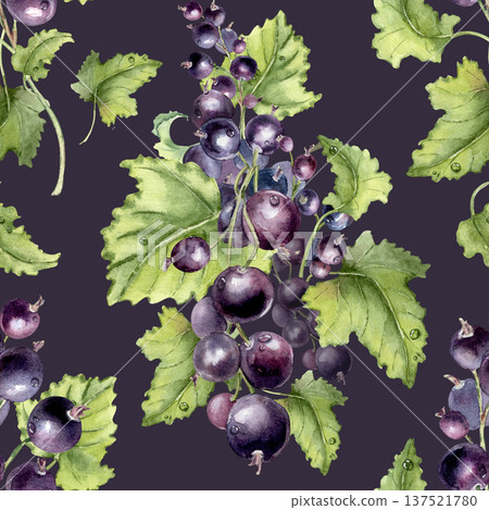 Black currant branch watercolor seamless pattern isolated. Repeat background of hand drawn botanical berry clusters with green leaf. Artistic textile print design for kitchen decor and scrapbooking. 137521780
