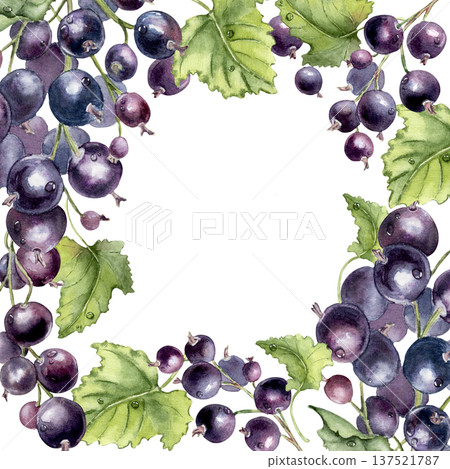 Watercolor black currant border with green leaves and berries isolated on white. Natural berry fruit design element for greeting card or recipe book. Fresh botanical frame hand drawn with empty space. 137521787