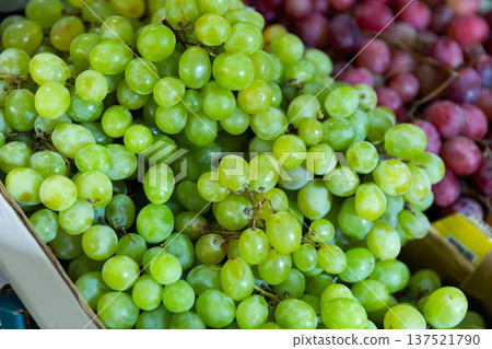 Bunches of kish-mish grapes in the store Bunches of kish-mish grapes in the store 137521790