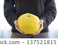 The world's largest citrus fruit, "Banpeiyu" (held) 137521815
